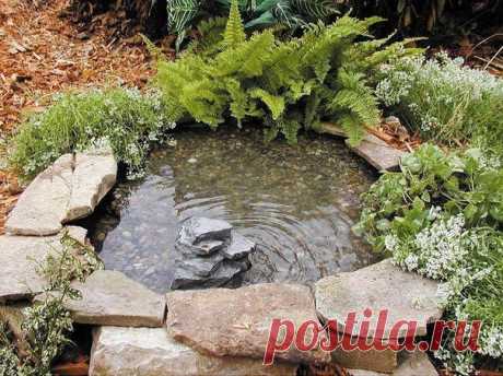 Маленький пруд из большой покрышки