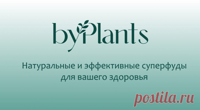 Натуральные товары для здоровья и суперфуды в интернет-магазине ByPlants Широкий ассортимент натуральных и эффективных суперфудов. Лечебные грибы, целебные растения и водоросли с быстрой доставкой по России и СНГ. Скидки постоянным покупателям.