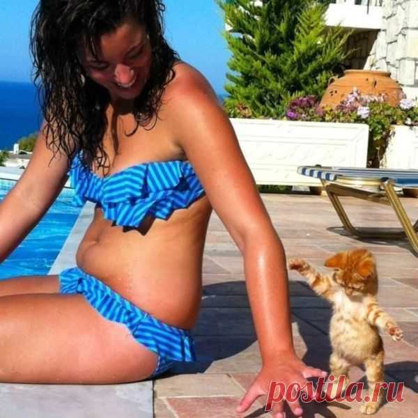 25 самых улётных снимков котов. Это точно поднимет тебе настроение!