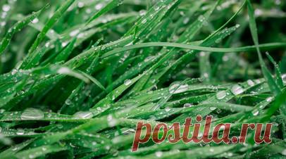 Химик Ерёмина посоветовала не употреблять дождевую воду. Кандидат химических наук, экс-сотрудник кафедры метеорологии и климатологии географического факультета МГУ им. Ломоносова Ирина Ерёмина призвала не пить дождевую воду, особенно в Москве. Читать далее