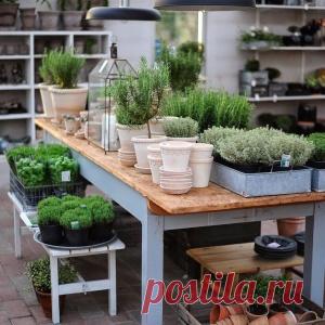 ОФОРМЛЕНИЕ УГОЛКА ДЛЯ САДОВОДСТВА - МирТесен