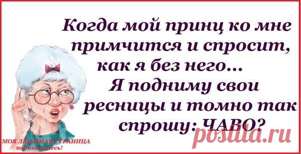 Позитивные фразочки в прикольных картинках (25 штук)