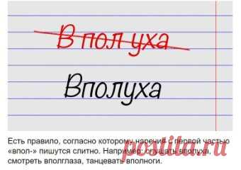 Популярные выражения, в которых ошибаются даже те, кто был отличником по русскому языку