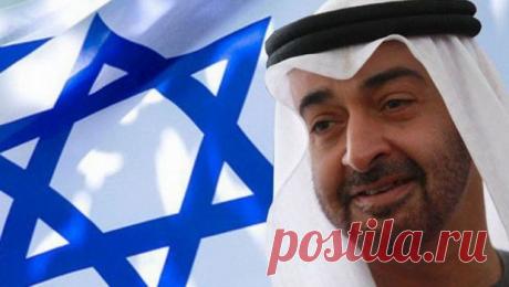 Катар наносит ответный удар | Выживи сам