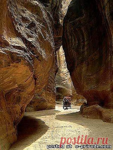 Horse-drawn Каньон, Иордания