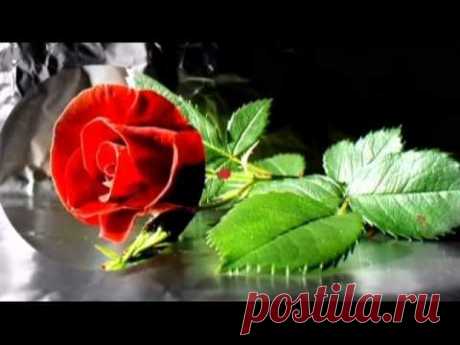 Pozdrav k meninám.mpg