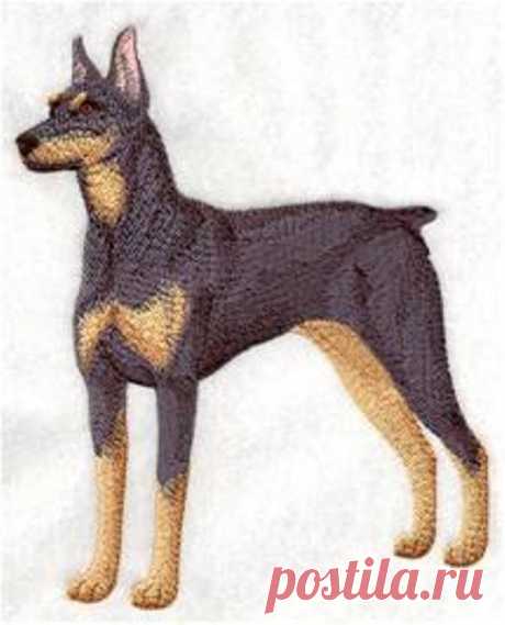 вышитый пинчер на машинке: 4 тыс изображений найдено в Яндекс.Картинках