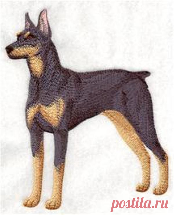 вышитый пинчер на машинке: 4 тыс изображений найдено в Яндекс.Картинках