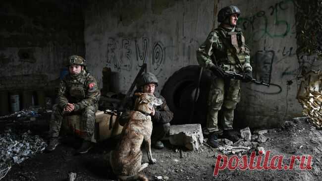 Боец рассказал, как по поведению собаки узнает о готовящемся обстреле