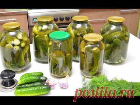 Огурцы на зиму без варки маринада. Самый простой и легкий рецепт. ОГУРЦЫ НА ЗИМУ