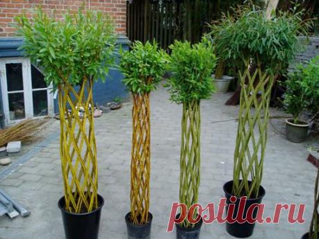 Только взгляните на это! Он нарезал палочки вербы и подождал, пока они укоренятся, а затем сделал чудо! - Калейдоскоп событий С каждым годом дизайн оформления участков всё больше совершенствуется. Чего только сегодня не увидишь на участках наших садоводов и огородников! Перефразируя известное выражение,можно сказать: дачи стали лучше, дачи стали красивее. Вот и один мой знакомый создал […]