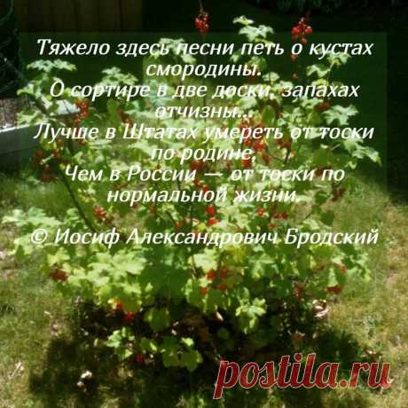 Eternal Love 💖 (@liubov_liubov5) / Twitter