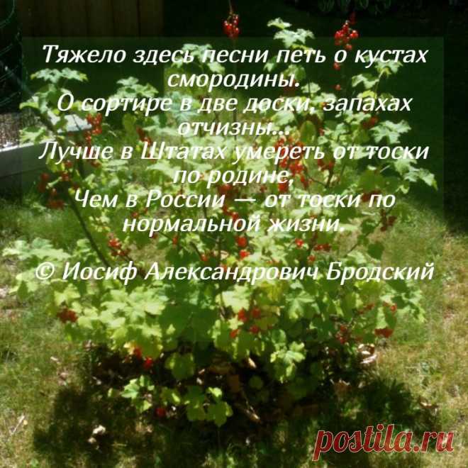 Eternal Love 💖 (@liubov_liubov5) / Twitter