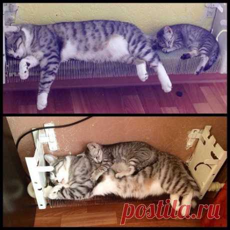 Одноклассники