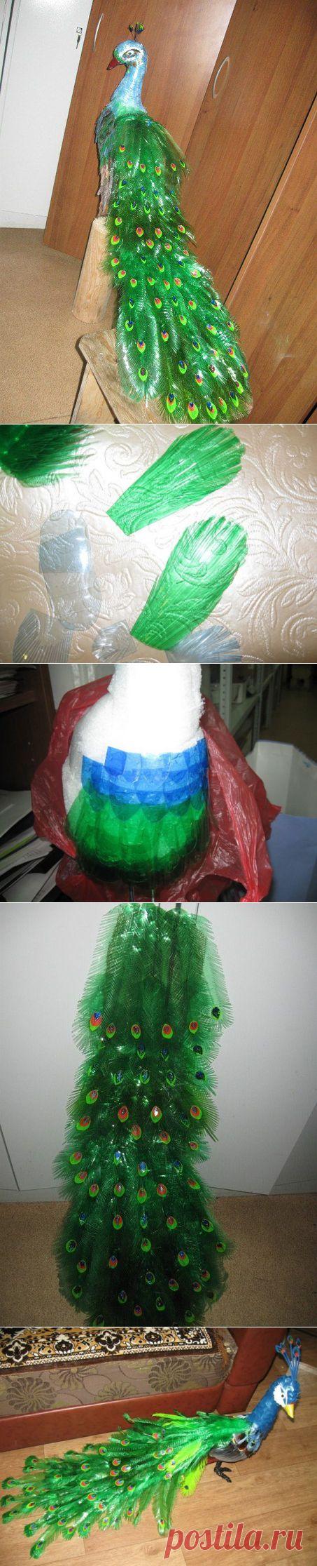 Павлин из пластиковых бутылок. | Хитрости Жизни