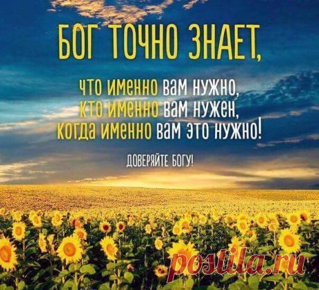 b-1378.jpg (604×549)