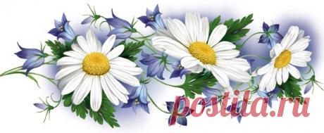 Схема вышивки «Ромашки и колокольчики» - Вышивка крестом