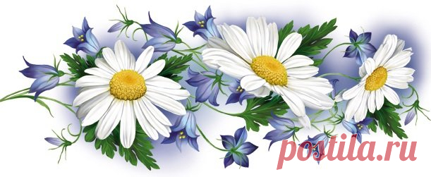 Схема вышивки «Ромашки и колокольчики» - Вышивка крестом