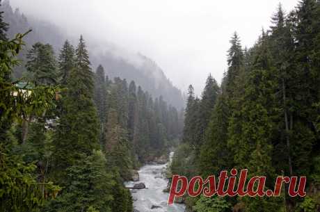 Удивительная Природа! - 22 Января 2016 - Персональный сайт