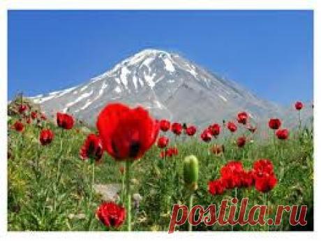 Ищу сотрудников для совместного бизнеса. Совмещение!