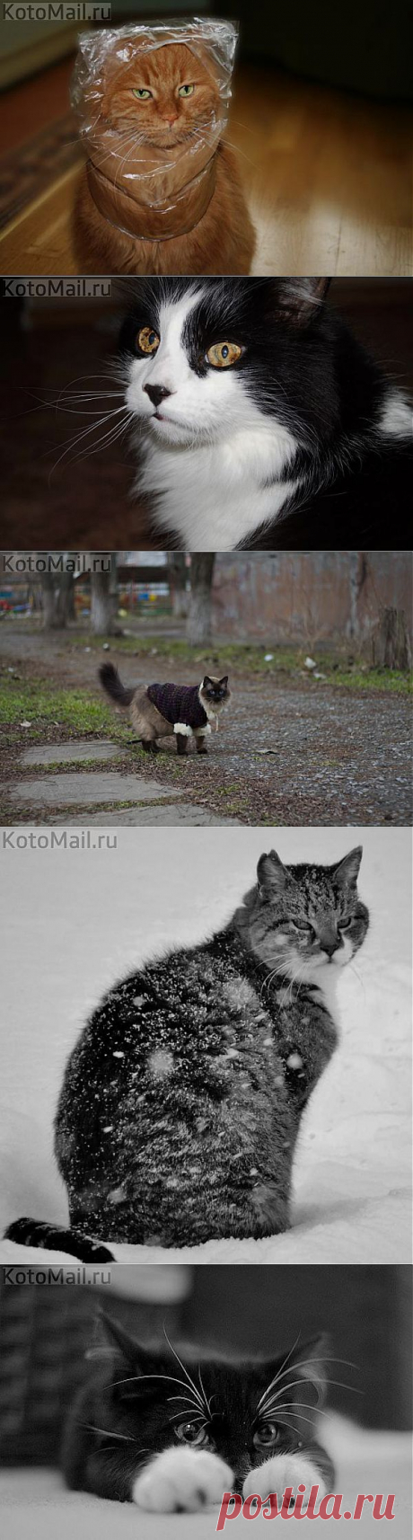 Будут мыть... и другие материалы. Новое в Вашей подборке на Постила.ru - klievtsova@inbox.ru - Почта Mail.Ru