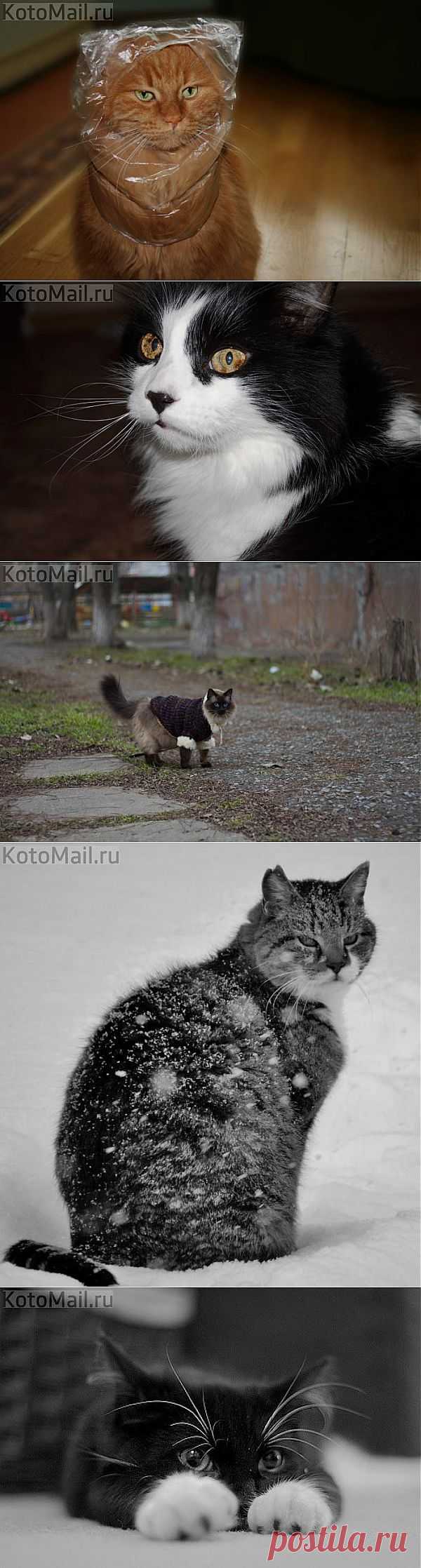 Будут мыть... и другие материалы. Новое в Вашей подборке на Постила.ru - klievtsova@inbox.ru - Почта Mail.Ru