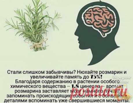 Улучшаем память!
