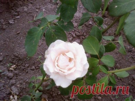 Ирина Герасименко