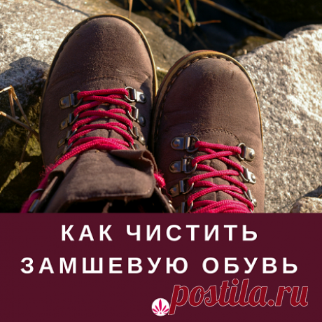 Как чистится замша — платье, юбка, сумка или сапоги - Зона красоты Как чистится замшевые: платье, юбка, сумка или сапоги. Советы для домашних условий. Если у вас обувь из замши, вам они точно пригодятся