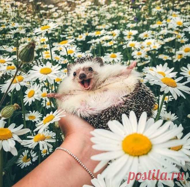 Сейчас самое время улыбнуться
