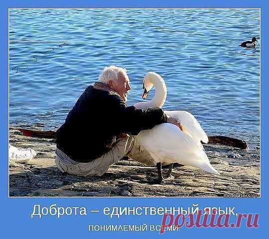 будь добрым и тебя все поймут.....