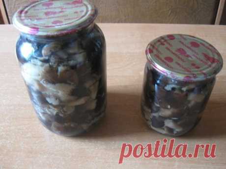 Маринованные рядовки, рецепт на зиму / Простые рецепты