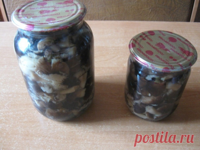 Маринованные рядовки, рецепт на зиму / Простые рецепты