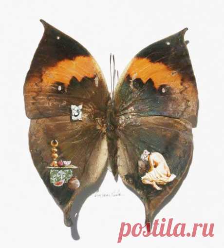 Рисунки на крыльях бабочки от Hasan Kale