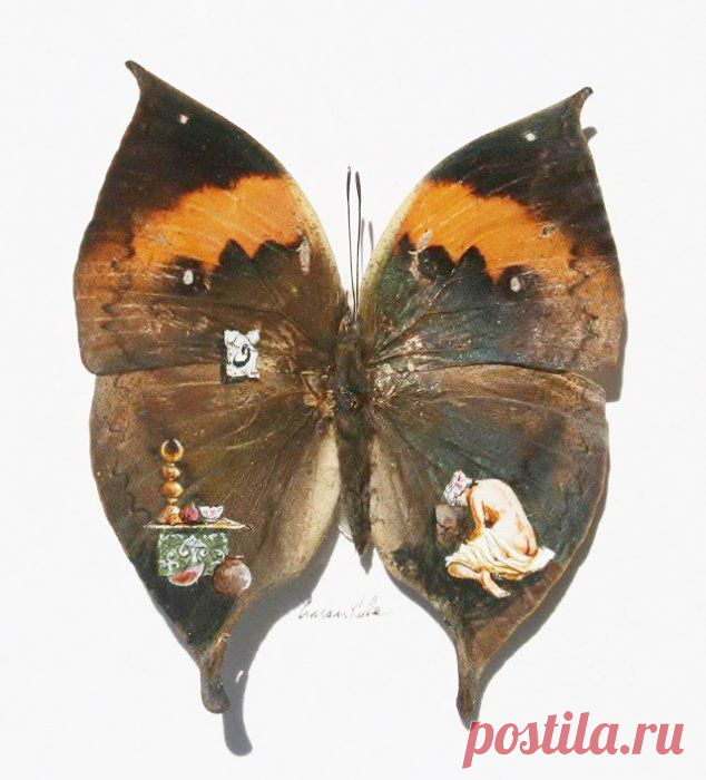 Рисунки на крыльях бабочки от Hasan Kale