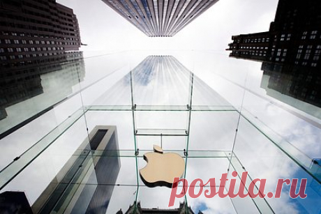 Появился первый обзор очков дополненной реальности Apple. Главный редактор IT-портала The Verge Нилай Патель одним из первых ознакомился с очками дополненной реальности Apple. Нилай Патель признался, что два 4К-экрана показались ему очень яркими и четкими: мужчина комфортно мог читать текст в браузере Safari. Также ему удалось посмотреть «Аватар» в 3D.