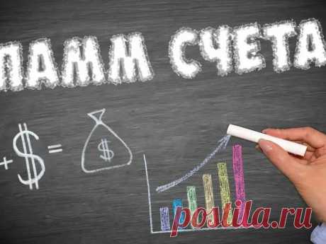 Почему инвесторы теряют деньги на ПАММ-счетах? | Cash for cash