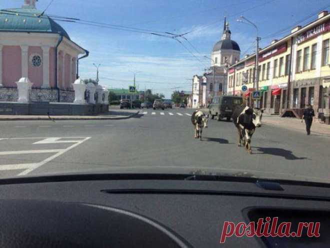 Это Россия, детка. Вот умора! / Всё самое лучшее из интернета