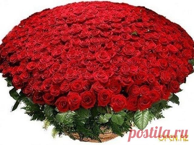 Ирина,с днём рожденья / Болталка / Поздравления