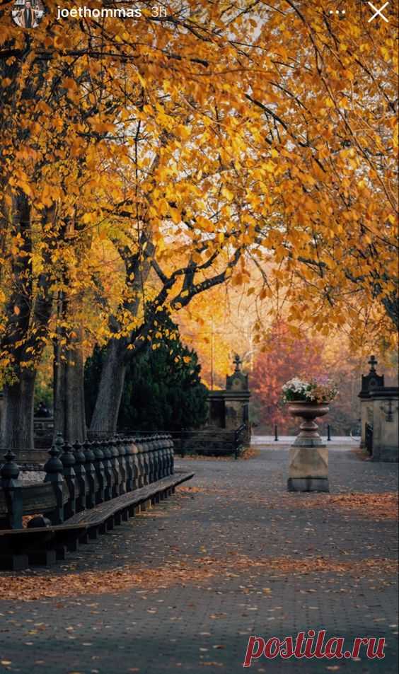 Pinterest