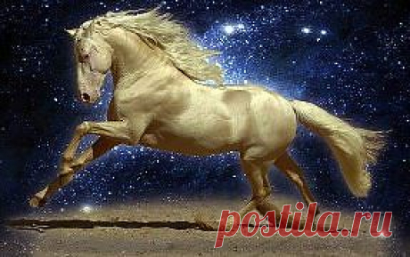 (74) Одноклассники