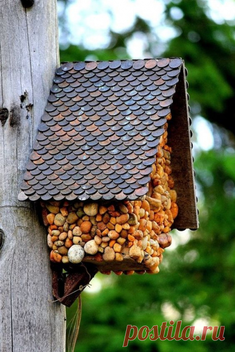 Кормушки для птиц своими руками: материалы для создания кормушек, виды кормушек, места развешивания кормушек, идеальное время прикорма птиц, полезный и вредный корм