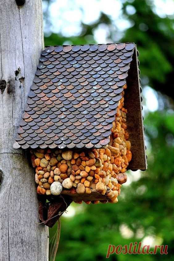 Кормушки для птиц своими руками: материалы для создания кормушек, виды кормушек, места развешивания кормушек, идеальное время прикорма птиц, полезный и вредный корм
