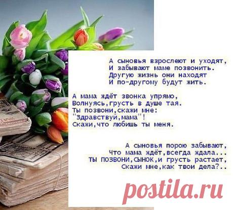 Aliona Svernei
43 года, Молдова, Дондюшаны