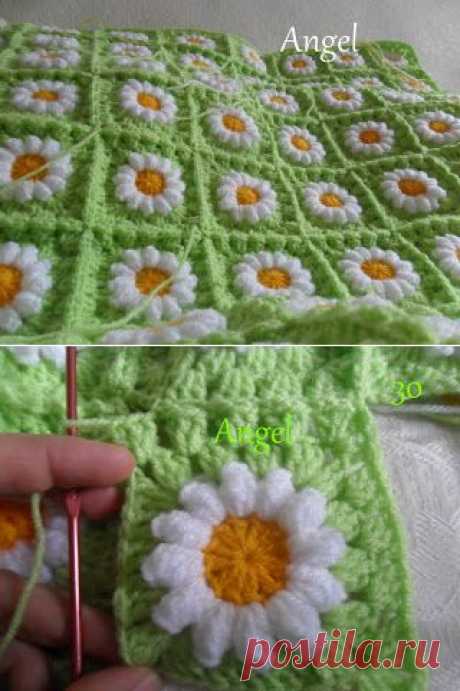 THE FLOWER BED: Blanket &quot;a field of daisies&quot;