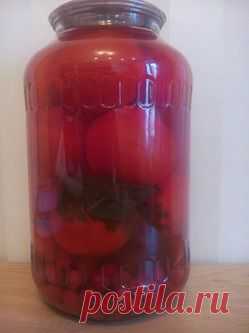 ПОМИДОРЫ С КИЗИЛОМ: Группа Собираем урожай: хвастики, рецепты, заготовки