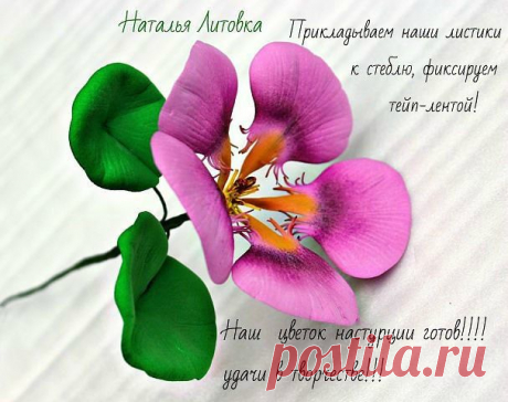 Настурция из фоамирана МК Натальи Литовка
