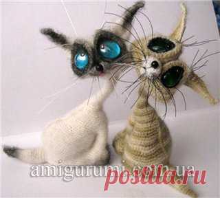 Котики