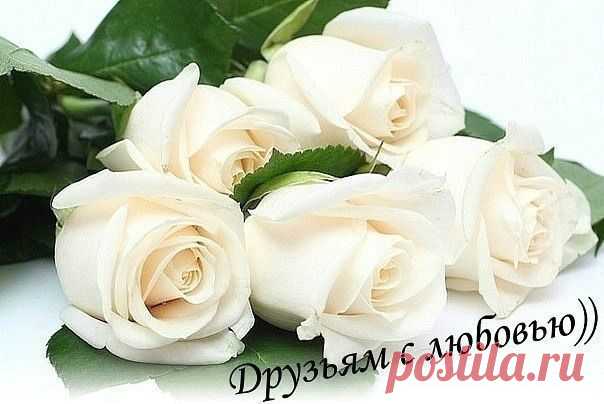 Мой Мир@Mail.Ru