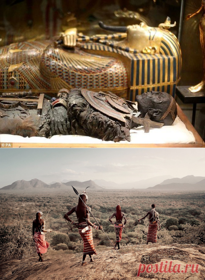 Интереснейшие факты о Африке + Видео | LivePosts — последние новости, полезные статьи, обзоры